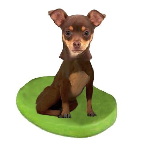 Picture of Custom Bobblehead Doll: Pet Dog Chihuahuas Brown
