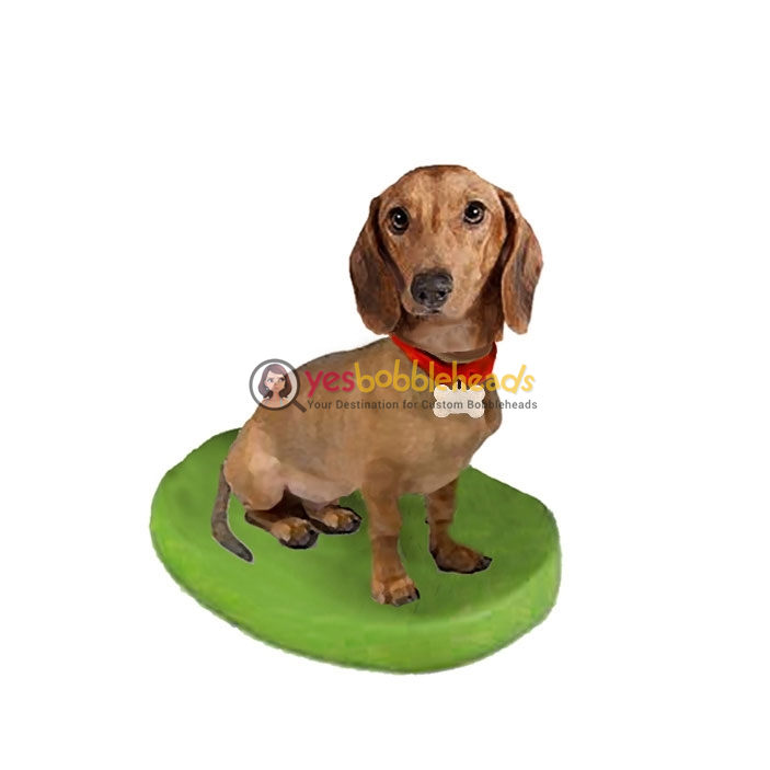 Picture of Custom Bobblehead Doll: Pet Dog Dachshund Displaying Collar and Tag