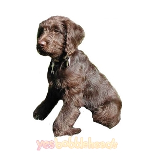 Picture of Custom Bobblehead Doll: Pet Dog Labradoodle