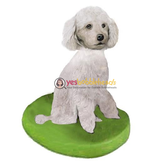 Picture of Custom Bobblehead Doll: Pet Dog Poodle White Miniature