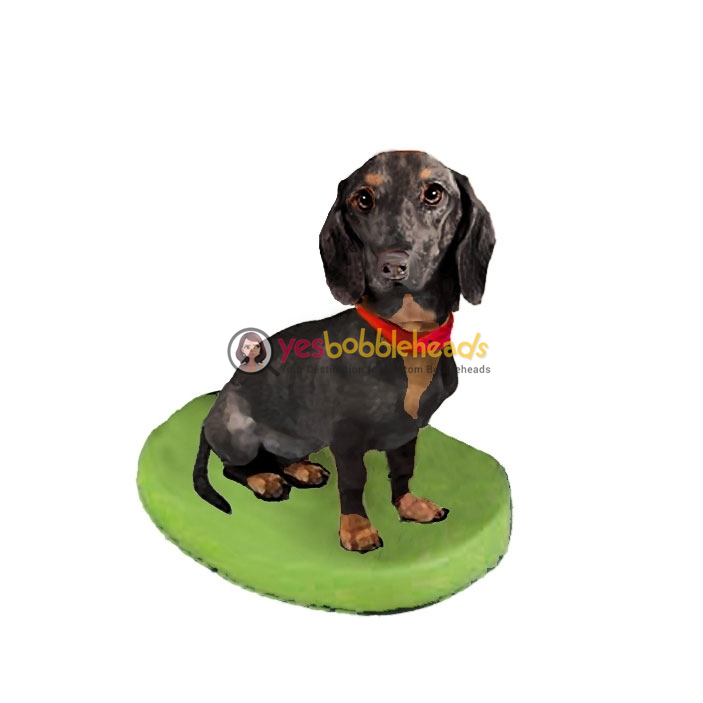Picture of Custom Bobblehead Doll: Pet Dog Dachshund displaying Collar