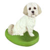 Picture of Custom Bobblehead Doll: Pet Dog Shih Tzu