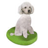 Picture of Custom Bobblehead Doll: Pet Dog Poodle White Miniature