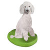 Picture of Custom Bobblehead Doll: Pet Dog Poodle White