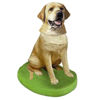 Picture of Custom Bobblehead Doll: Pet Dog Labrador Retriever Yellow